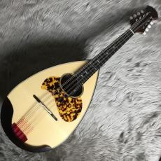 宮野厚志 MD-2【マンドラ】_2