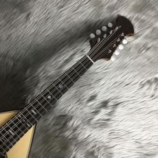 宮野厚志 MD-2【マンドラ】_4