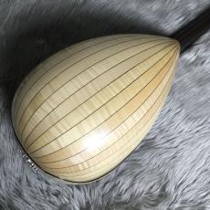 宮野厚志 MD-2【マンドラ】_5