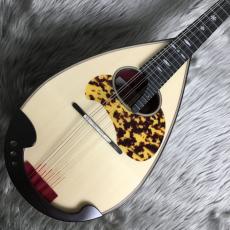 宮野厚志 M-4bis_2