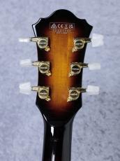 Ibanez GB-10 George Benson BS : Brown Sunburst s/n F2531701【3.38kg】【フルアコ】_10
