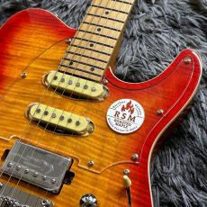 Bacchus TAC24AD-FMH RSM/M CS -Univers Series-【アンドレ・ディヌス シグネチャーモデル】_5