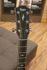 Taylor 814ce_5