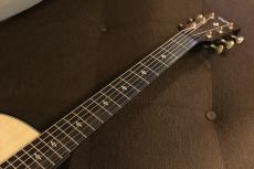 Taylor 50th Anniversary Builder's Edition 314ce LTD_3