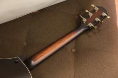 Taylor 50th Anniversary Builder's Edition 314ce LTD_4