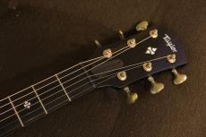 Taylor 50th Anniversary Builder's Edition 314ce LTD_5