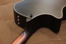 Taylor 50th Anniversary Builder's Edition 314ce LTD_7