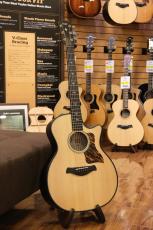 Taylor 50th Anniversary Builder's Edition 314ce LTD_9