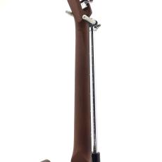 Fender Acoustasonic Standard Telecaster / Honey Burst_5