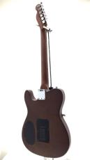 Fender Acoustasonic Standard Telecaster / Honey Burst_8