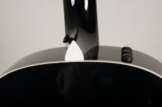 Taylor 217e-BLK Plus #2204164381【エレアコ】【メイプル】_10