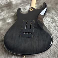 FREEDOM CUSTOM GUITAR RESEARCH Hydra 22F 2Point Premium Grade flame Maple Top / SAKURA【現物画像】【ハカランダ】_5