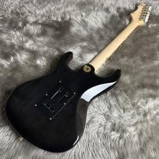 FREEDOM CUSTOM GUITAR RESEARCH Hydra 22F 2Point Premium Grade flame Maple Top / SAKURA【現物画像】【ハカランダ】_6