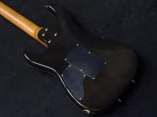 SCHECTER NV-3-22-AL Flame Maple Top Tyger Eye Burst【オーダーモデル】★週替わりSALE☆_7