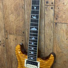 Paul Reed Smith [PRS] Private Stock Howard Leese Golden Eagle 1/100_6