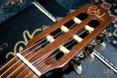 Godin Multiac Nylon Duet_3