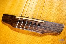 Godin Multiac Nylon Duet_5