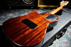 Godin Multiac Nylon Duet_7