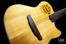 Godin Multiac Nylon Duet_9