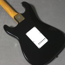 Vanzandt STV-R2 Black/MH/Gold Parts-#10022【3.53kg】【新ヘッドシェイプ&マッチングヘッド!】_8