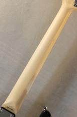 Providence pH-204RSC/SS-Black-#241203【3.65kg】_8