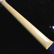 FUJIGEN NJB100MBAHV-See-Thru Blue Burst-#G250094 【4.67kg】_9