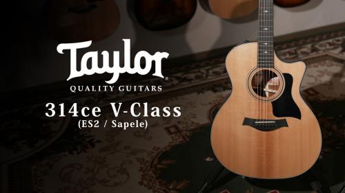 Taylor 【試奏動画有】314ce V-Class 【Taylor公認 リペアマン在籍店】