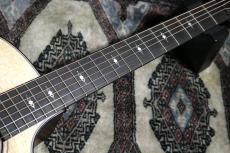 Taylor 【試奏動画有】314ce V-Class 【Taylor公認 リペアマン在籍店】_4