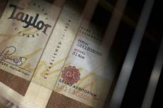 Taylor 【試奏動画有】314ce V-Class 【Taylor公認 リペアマン在籍店】_10