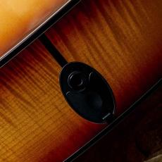 Taylor Custom GA  Flamed Maple_10