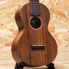 Martin C1K Concert