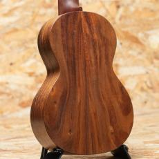 Martin C1K Concert_2