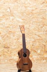 Martin C1K Concert_3