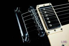 Gibson Les Paul Standard 2008 / 2010_5