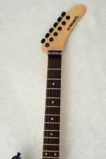 Edwards E-PURPLE TIGER -Purple Sunburst Tiger Graphic-_4