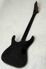 Edwards E-HORIZON-CTM 50TH -Ash Black Burst C / Black Pearl Back-_8