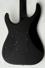 Edwards E-HORIZON-CTM 50TH -Ash Black Burst C / Black Pearl Back-_9