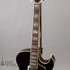 Ibanez Artcore Deluxe AK86 DVS_4