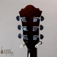 Ibanez Artcore Deluxe AK86 DVS_6