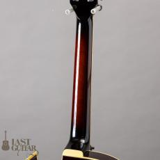 Ibanez Artcore Deluxe AK86 DVS_7