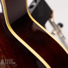 Ibanez Artcore Deluxe AK86 DVS_10