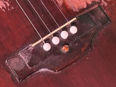 Gibson TG-0_10