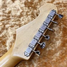 Vanzandt STV-R2 Custom 鼈甲PG ~Black~ #10315【3.40kg】_11