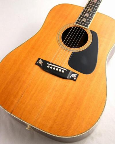 Morris 【USED】MV-730【Vanguard Series】【貫録のある重厚なサウンド】