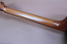 Terry's Terry Premium Terry PTJ-100 MS GRAPE 50th Anniversary Model  / Grape Inlay・Spruce Top・Indian Honduras Rosewood Side and Back・Mahogany 1P NeckTortoise Color Pick guard・With Fishman Ellipse Matrix Blend  Pick_10