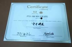 Terry's Terry Premium Terry PTJ-100 MS GRAPE 50th Anniversary Model  / Grape Inlay・Spruce Top・Indian Honduras Rosewood Side and Back・Mahogany 1P NeckTortoise Color Pick guard・With Fishman Ellipse Matrix Blend  Pick_16