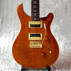 Paul Reed Smith [PRS] SE-Custom24 MOD