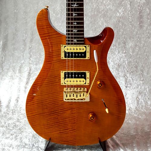 Paul Reed Smith [PRS] SE-Custom24 MOD