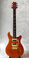 Paul Reed Smith [PRS] SE-Custom24 MOD_2