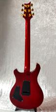 Paul Reed Smith [PRS] SE-Custom24 MOD_3